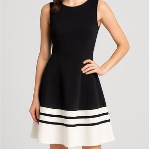 Calvin Klein Sleeveless Fit & Flare Dress Black & White Colorblock Size 2